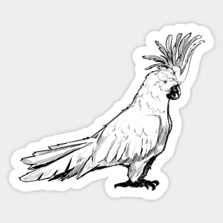 Cockatoo - Crested Cockatoo Sticker